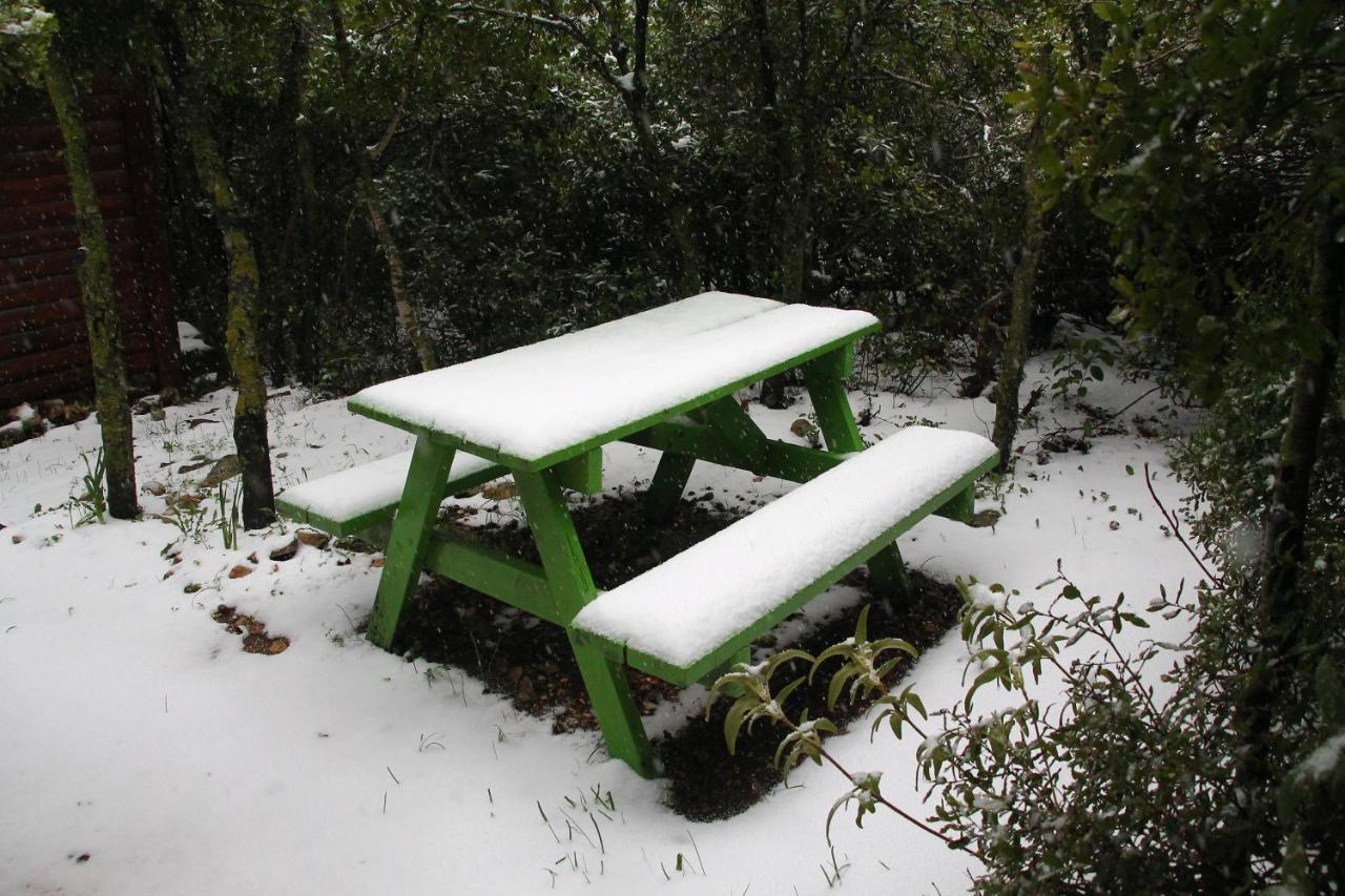 פסגת מתת Pisgat Mattat Villa Luaran gambar