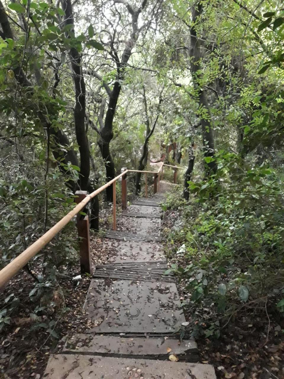פסגת מתת Pisgat Mattat Villa Luaran gambar