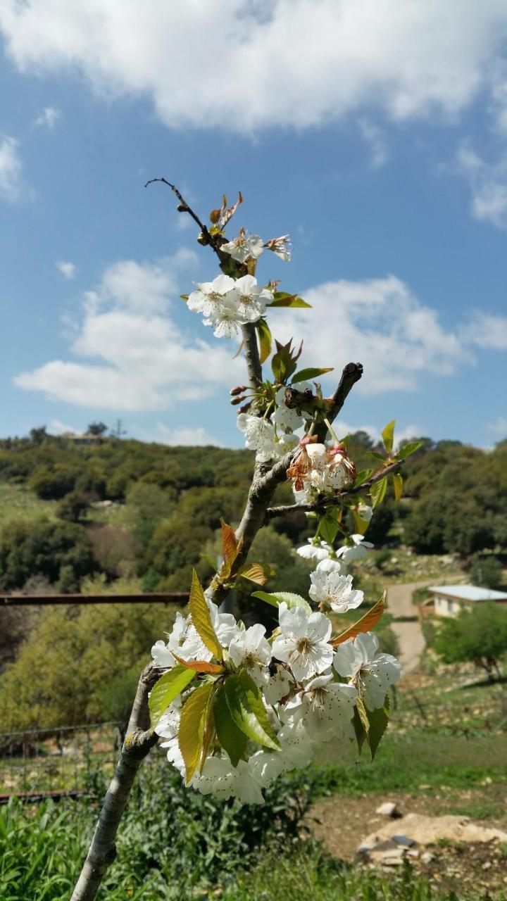 פסגת מתת Pisgat Mattat Villa Luaran gambar