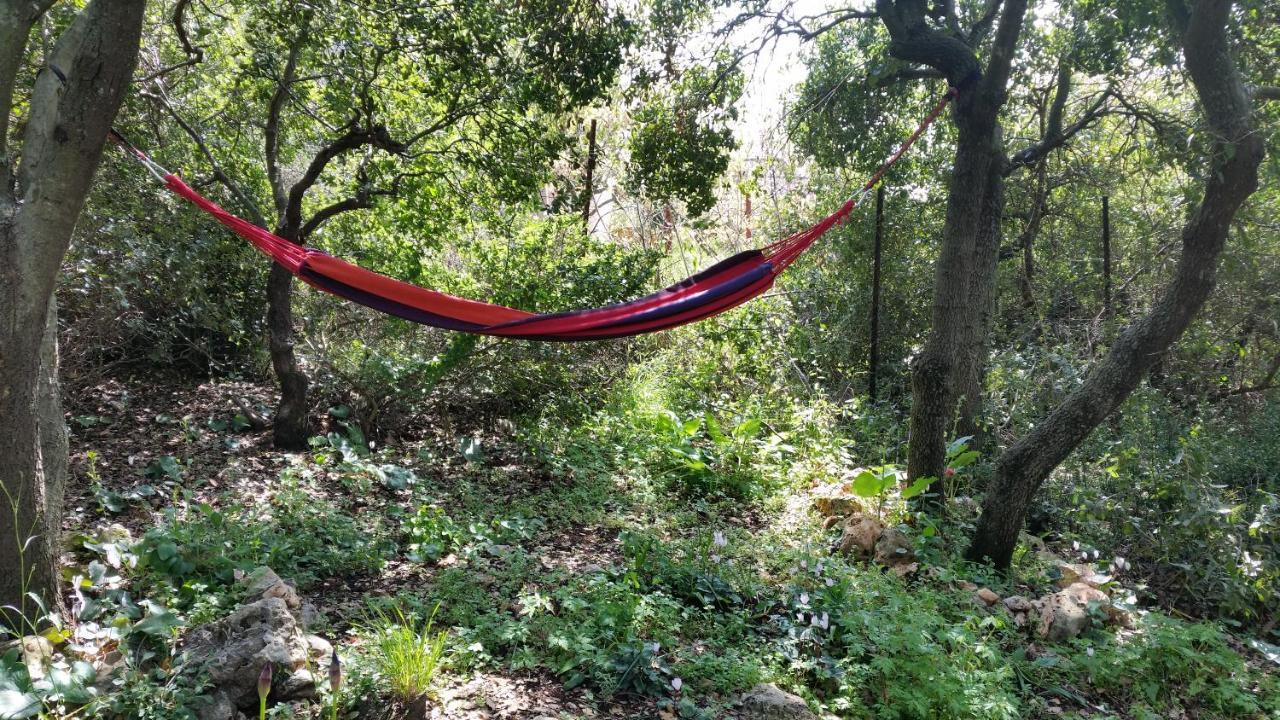 פסגת מתת Pisgat Mattat Villa Luaran gambar